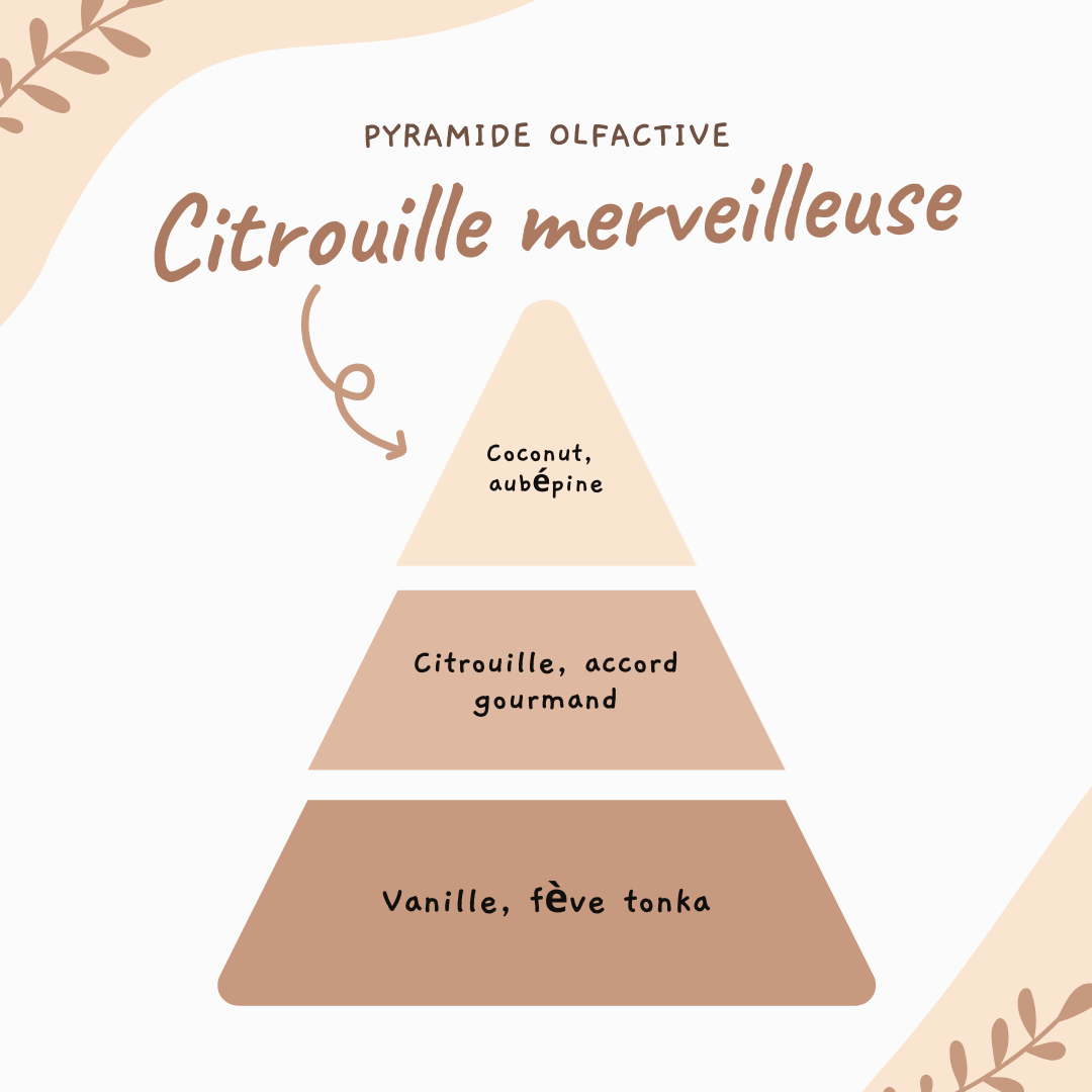 Citrouille parfumée ♡ Citrouille merveilleuse
