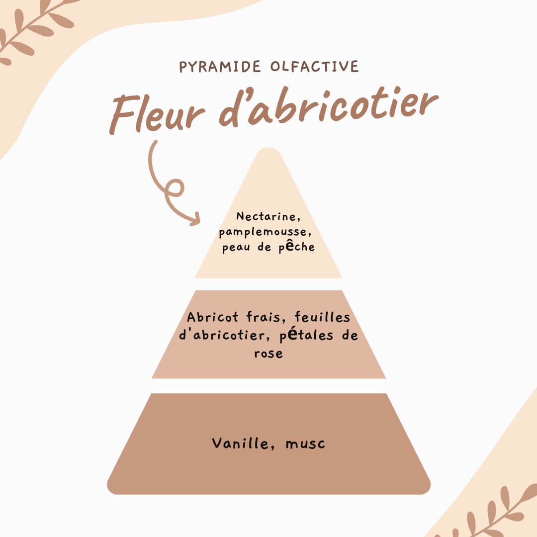 Tablette parfumée ♡ Fleur d'abricotier