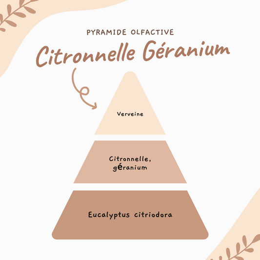 Poudre parfumée citronnelle géranium